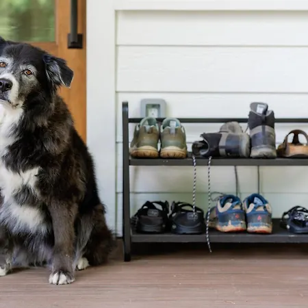 The Indigo House, An Adults Only, Modern Bed And Breakfast For Outdoorsy Humans And Kind Dogs-2